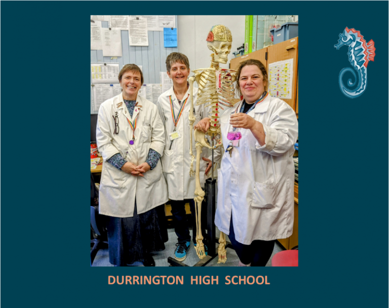 Behind the scenes at DHS … meet the Laboratory Technicians - Durrington ...