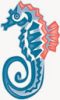 Seahorse Coloured PNG